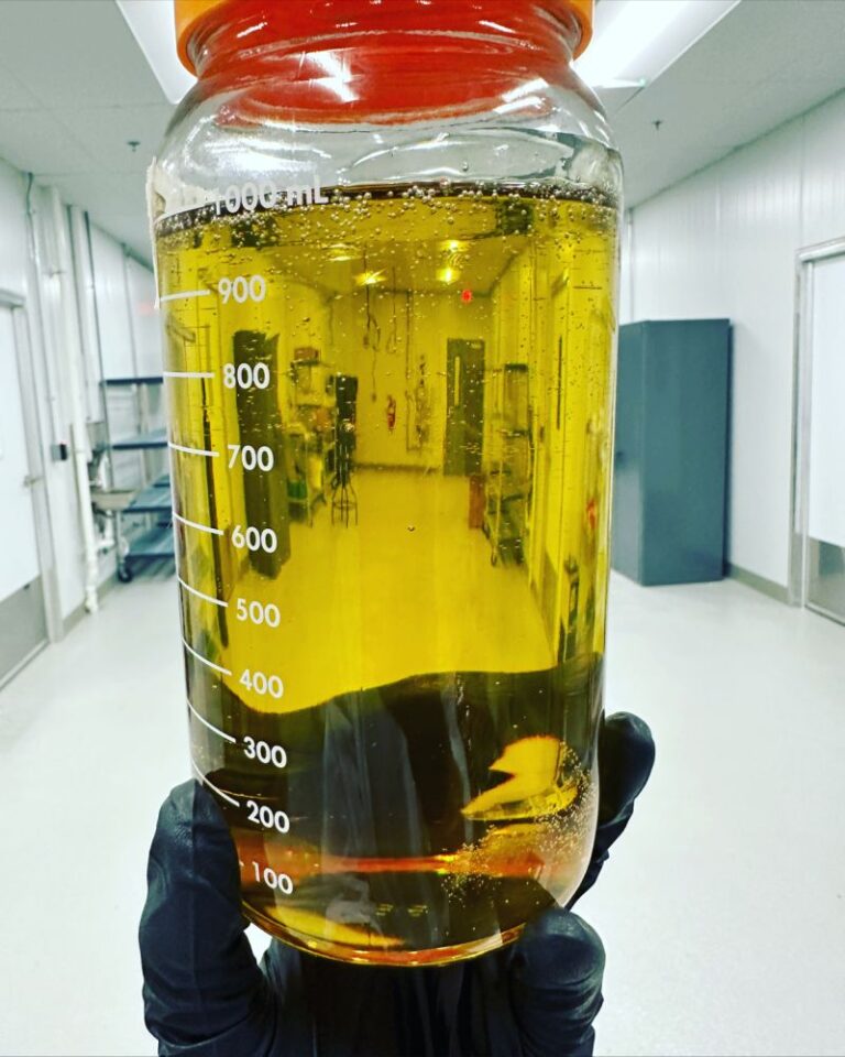 Read more about the article HHC distillate Europe